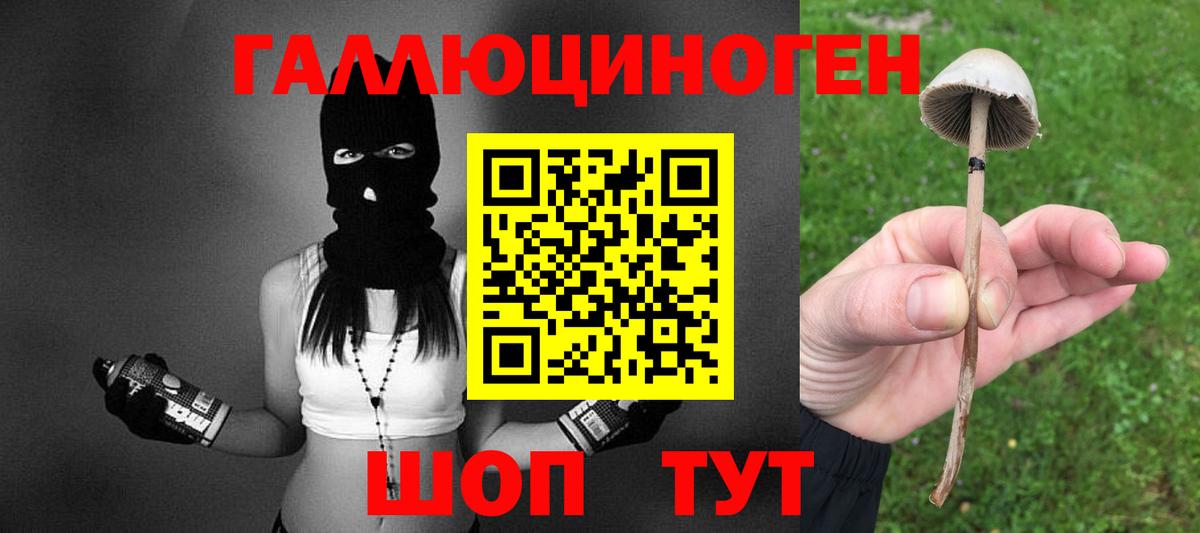 Галлюциногенные грибы GOLDEN TEACHER Дербент